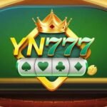 YN777