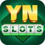 YN SLOTS