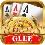 Gin rummy