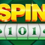 spin 101