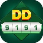 DD 9191 GAME